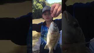 Fishing fishing nsw fishing bream hopefullywegetthatjack [upl. by Nilesoy816]