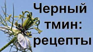 Черный тмин свойства и применение Полезные рецепты для лечения болезней [upl. by Endres]