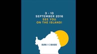 Digital  Blackeye MC  Sun and Bass 2016 [upl. by Lynna]