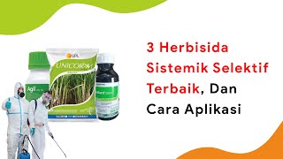 Aplikasi Herbisida Sistemik Harus Begini 3 Herbisida Sistemik Selektif Teratas [upl. by Nnairak]