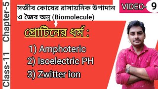 Properties of proteinAmphoteric ion Zwitter or Dipolar ion Isoelectric PH in Bengali [upl. by Hills]