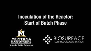 Chapter 14 Inoculation of the Reactor [upl. by Athey297]