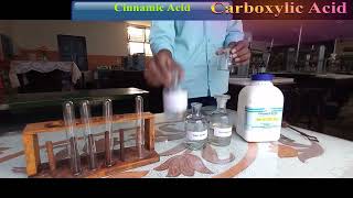 Cinnamic Acid 12th chemistry practical [upl. by Shirberg]