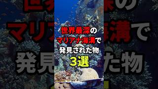 世界最深のマリアナ海溝で発見されたモノ【3選】深海 海の生物 深海生物 雑学 [upl. by Kreegar650]