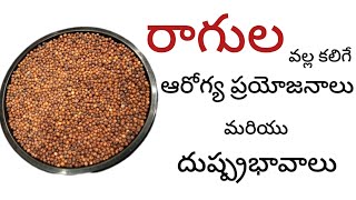 రాగుల గురించి మీకు తెలియని నిజాలు l FingerMillet l sideeffectsoffingermillet [upl. by Ciapha]