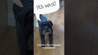 Literary Techniques Hypophora dog tinydawg [upl. by Gide]