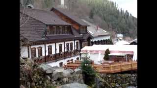 The Black Forest  Triberg Waterfalls MOV06242MPG [upl. by Jennilee]