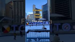 Canada free visa  Canada salary 7000 canadavisa shorts viralvideo [upl. by Daberath]