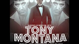 Gaona  Tony Montana Prod By DiamondMoon amp La Paciencia Original ★★ NEW REGGAETON 2013 ★★ [upl. by Llehsal]