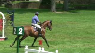 ♥ Franck Vancrayelynghe and Quito du Vilpion stallion SF [upl. by Bohlin]