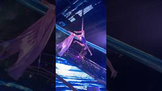 Aerial Silks Drop Wrap Part 1 aerial aerialist silks drop wrap fabric dinnershow [upl. by Gredel]