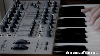 DreamsOfWires  Arturia Minibrute SE Mellowbrute [upl. by Llecrup]