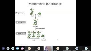 Chap 16 Part 2a Mendelian Inheritance 12  Cambridge ALevel 9700 Biology [upl. by Auohs]