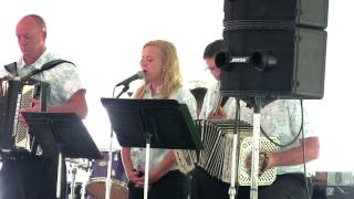 Pulaski Polka Days Polka Mass 2017  Full Video [upl. by Eittik405]