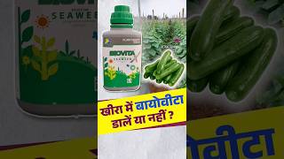 बायोवीटा खाद  Biovita Fertilizer  seaweed agriculture cucumber farming biovita farmer [upl. by Neumeyer]