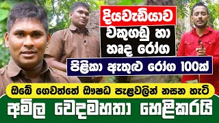 අමිල වෙදමහතාගේ අරුම පුදුම හෙළ ඖෂධ උයන ප්‍රථම වතාවට මාධ්‍යට  Amila Sanjeewa Wedamahatha [upl. by Haimerej]