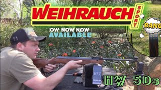 Weihrauch HW50S 45MM eating JSB knock out slugs in 177 [upl. by Cummings576]