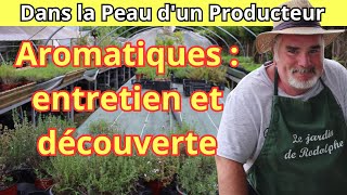 Plongée dans le tunnel des aromatiques  tour hebdomadaire et conseils dentretien [upl. by Htepsle505]