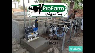 Best Milking Machine DeLaval BMS4 Bucket Milking System  ProFarm Pakistan Pvt Ltd [upl. by Zach742]