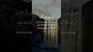 SURAH AL BAQARAH AYAH 237238 WITH TRANSLATION  ABDUL HADI [upl. by Krock996]