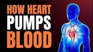 heart How your heart pumps blood 🫀experiment DrJanani [upl. by Alex]