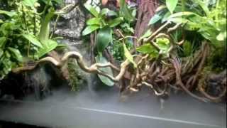 Paludarium met waterwall te koop [upl. by Kemeny]