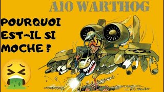 histoire daviation  A10 Thunderbolt II les derniers secrets du HOG [upl. by Balf]