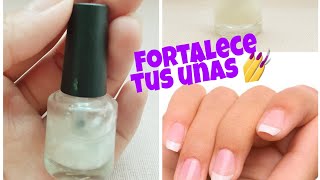 Endurecedor de uñas casero 💅🏼 [upl. by Awhsoj]