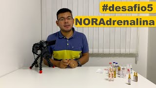 NORAdrenalina na Prática [upl. by Gnouhc]