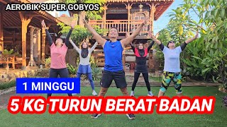 AEROBIK PENURUNAN BERAT BADAN SUPER CEPAT [upl. by Bernetta]