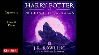 Harry Potter e il Prigioniero di Azkaban Audiolibro Italiano letto da Francesco Pannofino Capitolo14 [upl. by Iila]