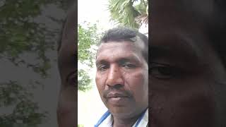 Arumbagi mottagi Ramarajan ilayaraja k P Sankar [upl. by Greta967]