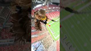 Highest Rope Swing Drop 😳 atlantafalcons [upl. by Trimble]