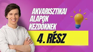 4 Az akvárium vize és az akvárium vízének előkészítése Akvarisztika kezdőknek [upl. by Catina]