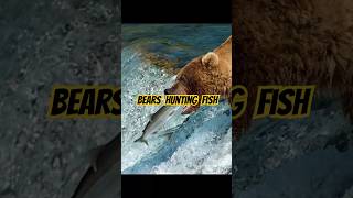 Bears Hunting Fish amp Fighting for Territory at the Lake 🐻🐟 ViralShorts youtubeshort short [upl. by Korey804]