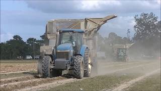 DAVIS FARMS 2017 PEANUT HARVEST PART 1 [upl. by Atinor]