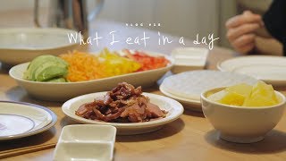 SUB VLOG 18 What I eat in a day kimchi fried rice and spring roll  Honeykki 꿀키 [upl. by Orgell]