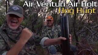 Wild Hog Speared with Arrow Shot from 50 Cal Air Rifle [upl. by Amhsirak554]