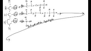 DEHYDRATION SYNTHESIS of Phospholipid [upl. by Ladew]