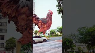 wow 🤗🦜🔥🦚 birds beautifulanimals shorts viralvideo foryou 2024 [upl. by Nyleda]