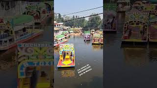 Les canaux de XOCHIMILCHO près de Mexico [upl. by Jaan]