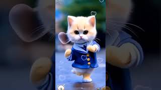 Cute cat dance WhatsApp [upl. by Loux]