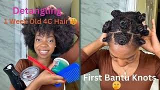 DETANGLING 1 WEEK OLD 4C HAIR  FIRST BANTY KNOTS [upl. by Perrie]