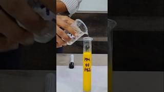 Lead iodide precipitate formation [upl. by Norby]