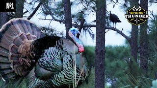 Opening Day Osceola Turkey  Opening Day  Spring Thunder [upl. by Helfand]