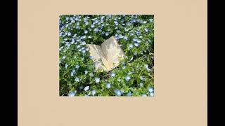 ❀calmlovecore playlist❀ [upl. by Wyndham47]