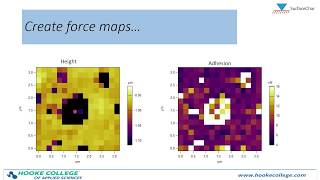 Measuring Material Stiffness and Adhesion On The Nanoscale With AFM [upl. by Reinaldo]