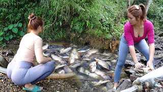 Greatest Fishing Videos Fishing Catching Fish With Pump Catching A Lot Of Fish In The Wild Lake [upl. by Annyrb]