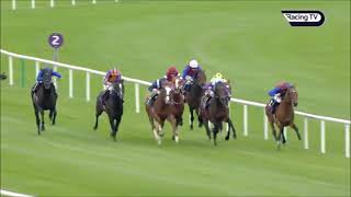 Irish Champion Stakes G1 2024 [upl. by Arodnap]