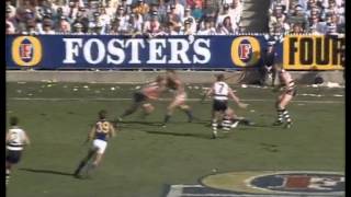 1992 AFL Grand Final West Coast vs Geelong [upl. by Ballard184]